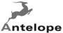 Antelope